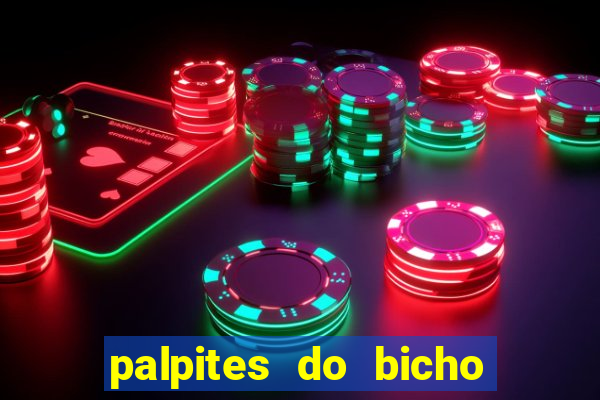 palpites do bicho no celular